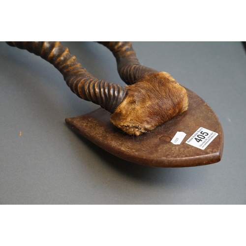 405 - A pair of early 20th century Antelope antlers  mounted on a small wooden shield.