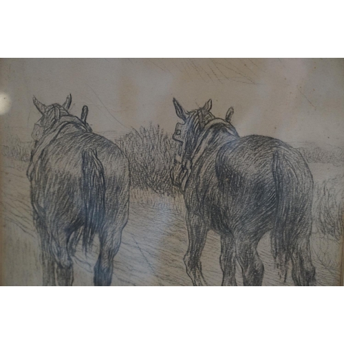 412 - Henry Mansfield Childerstone, 1878-1962, pencil drawing of two Shire Horses ploughing, signed 29 x 2... 