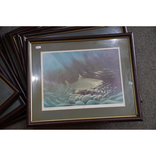 424 - M Groves, angling interest,  a set of 9 framed and glazed fish prints to include Salmon, Bass, Brown... 