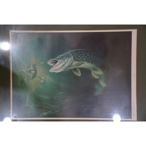 424 - M Groves, angling interest,  a set of 9 framed and glazed fish prints to include Salmon, Bass, Brown... 