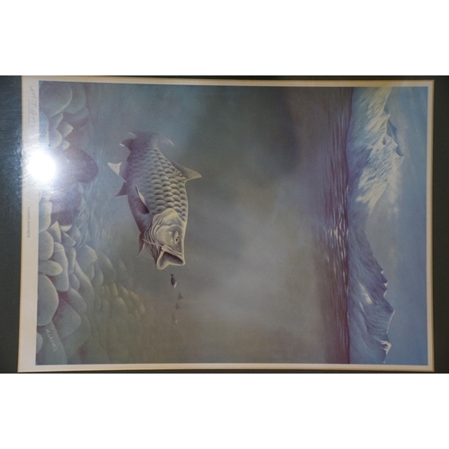 424 - M Groves, angling interest,  a set of 9 framed and glazed fish prints to include Salmon, Bass, Brown... 