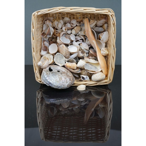 372 - A quantity of shells in a wicker basket.