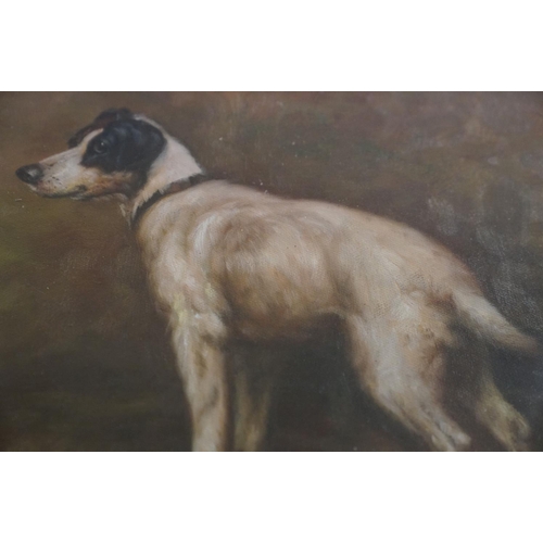 411 - Framed oil painting study of a Jack Russell terrier