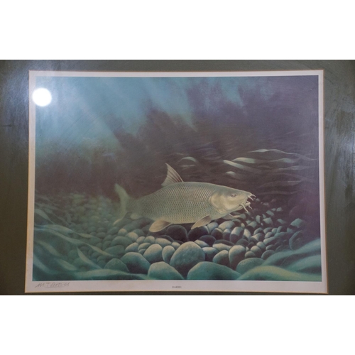 424 - M Groves, angling interest,  a set of 9 framed and glazed fish prints to include Salmon, Bass, Brown... 