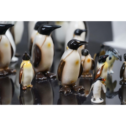 475 - A collection of ceramic Penguins to include Carlton Ware, Goebel and Coalport examples.