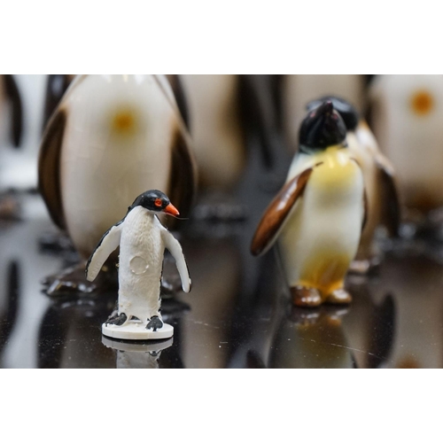 475 - A collection of ceramic Penguins to include Carlton Ware, Goebel and Coalport examples.