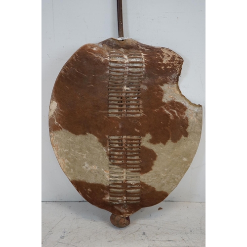 593 - An antique Zulu shield with integral knobkerry together with spear.