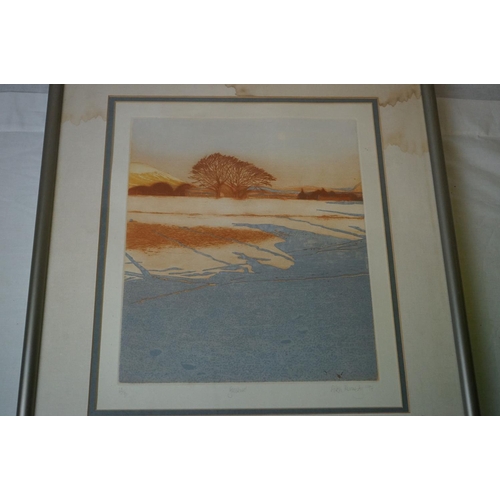 633 - Two Alisa Kennedy limited prints titled Goosewell  signed in pencil.