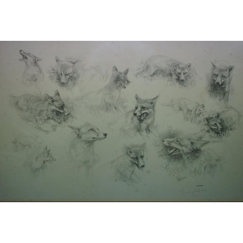 648 - Gelbart, a framed and glazed limited edition print of a fox in various poses 251/600