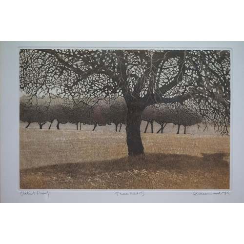 659 - Two framed and glazed Phil Greenwood coloured engravings, Tree Net 11 & Water light, together with t... 