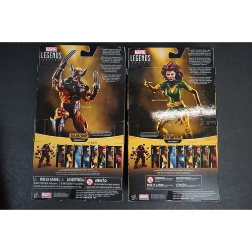 1034 - 5 x Boxed Hasbro Marvel Legends Series X-Men action figures to include Iceman, Marvel's Rogue, Marve... 