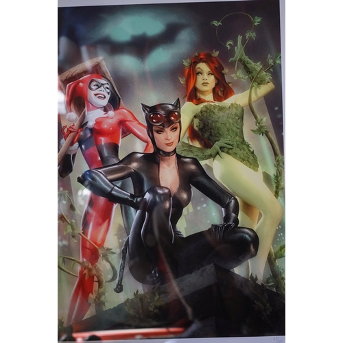 1041 - Sideshow Collectibles DC Comics Gotham City Sirens  framed art print, signed by the artist Alex Garn... 