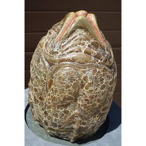 1045 - Boxed Sideshow Collectables 1:1 scale Alien egg prop replica, in good condition with outer box (oute... 