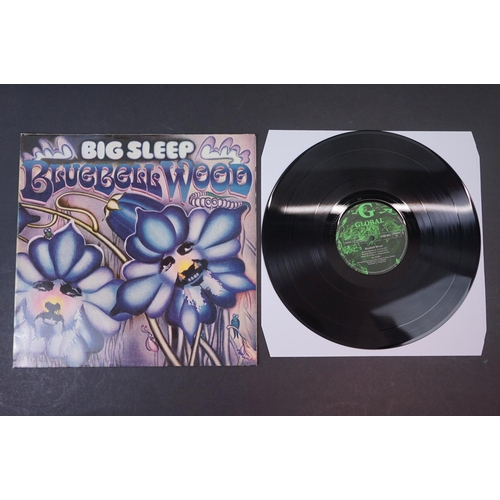 91 - Vinyl - Prog Rock - Big Sleep - Bluebell Wood (1971 German, Global Records) Gatefold Sleeve vg+, vin... 