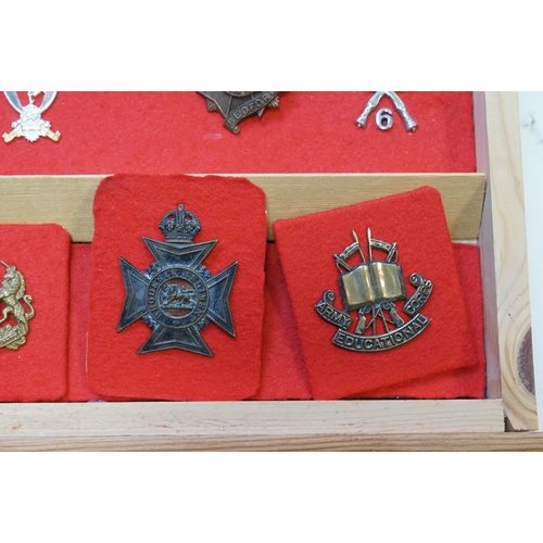 298 - A Large Collection Of Military Cap Badges Contained And Mounted Within A Pine Seven Drawer Collector... 