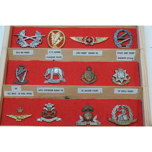 298 - A Large Collection Of Military Cap Badges Contained And Mounted Within A Pine Seven Drawer Collector... 