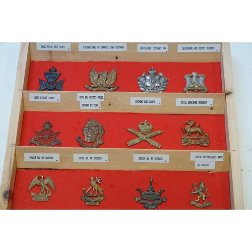 298 - A Large Collection Of Military Cap Badges Contained And Mounted Within A Pine Seven Drawer Collector... 