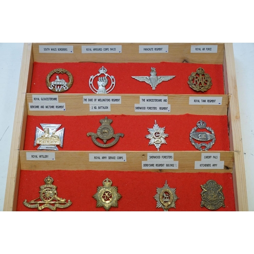 298 - A Large Collection Of Military Cap Badges Contained And Mounted Within A Pine Seven Drawer Collector... 