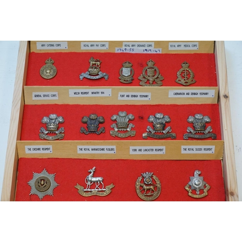 298 - A Large Collection Of Military Cap Badges Contained And Mounted Within A Pine Seven Drawer Collector... 