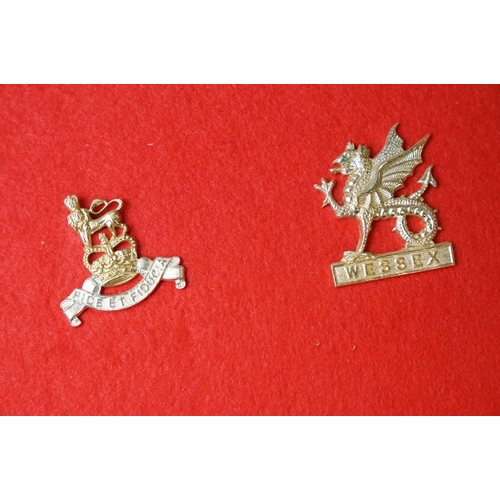 307 - A Collection Of British Military Cap Badges Mounted To Display Board, Regiments Include The Welsh Re... 