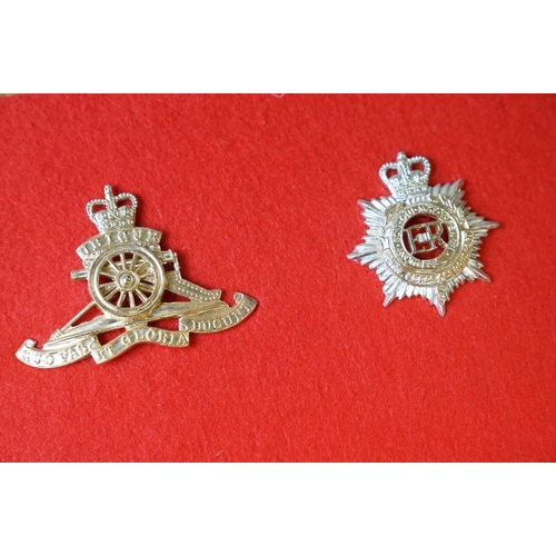 307 - A Collection Of British Military Cap Badges Mounted To Display Board, Regiments Include The Welsh Re... 