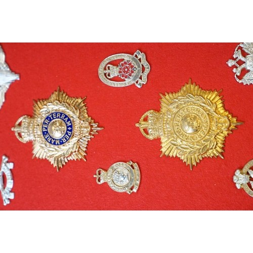 307 - A Collection Of British Military Cap Badges Mounted To Display Board, Regiments Include The Welsh Re... 