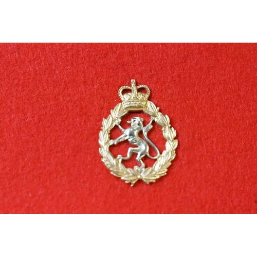 307 - A Collection Of British Military Cap Badges Mounted To Display Board, Regiments Include The Welsh Re... 