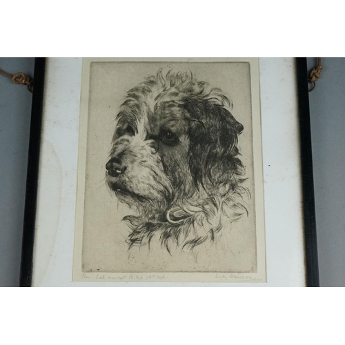 201A - A Framed And Glazed Etching Of 