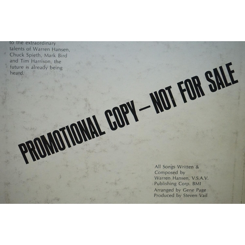 338 - Vinyl - The David Another Day, Another Lifetime LP 'Promotional Copy-not for sale' printed to back c... 