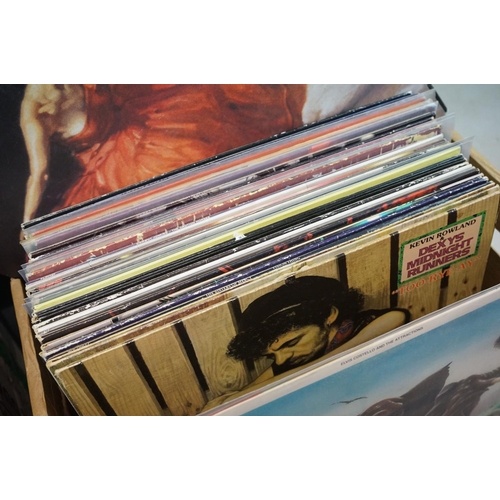 661 - Vinyl - Rock, Pop, Indie & Punk collection of over 65 LP's featuring Elvis Costello, Dexys Midnight ... 