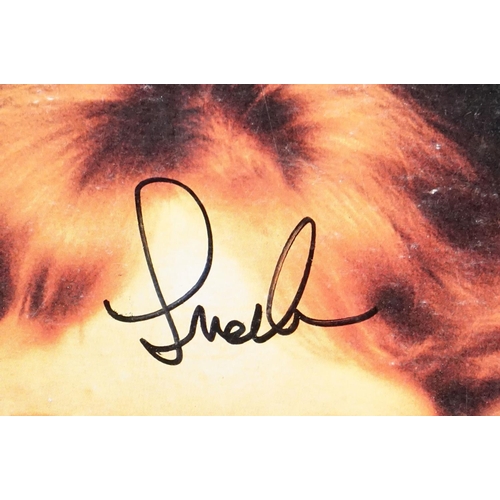Vinyl & Autographs - Sandy Denny - Self Titled LP signed by