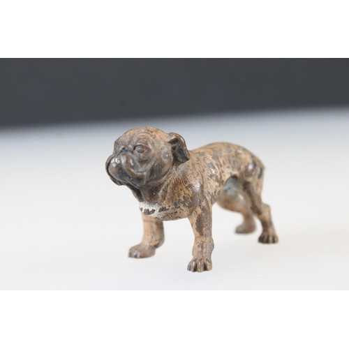 159 - Two antique Austrian cold painted bronze figures of Bulldogs, marked cross to underside.