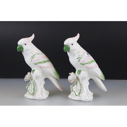 45 - Pair of Italian ' ATN ' Ceramic Models of Parrots, 25cm high