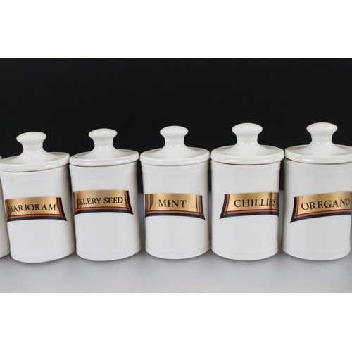 48 - Set of Twelve Ceramic Spice Jars and Lids in the form of Apothecary Jars including Cinnamon, Mixed H... 