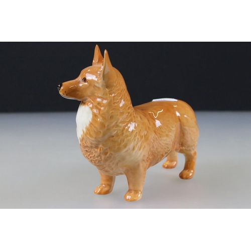 53 - Beswick Large Corgi, model 1299B