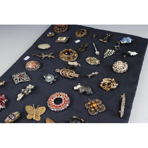 313 - Collection of approx. 73 brooches on a cushioned board, to include silver, micro mosaic & others