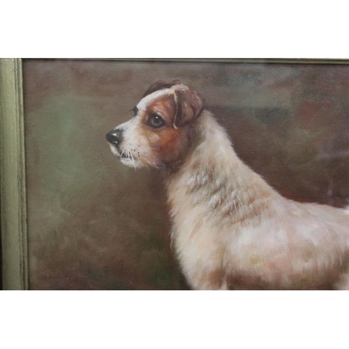 502 - Framed oil painting study of a Jack Russell terrier