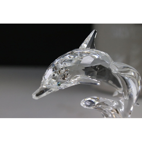 1 - Two Boxed Swarovski Crystal Animals including South Sea Dolphin on a Wave 7644 000 001 and Baby Love... 