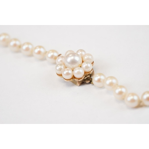 102 - Pearl single strand 9ct yellow gold necklace, pearl cluster tongue and box clasp, length approx 52cm... 