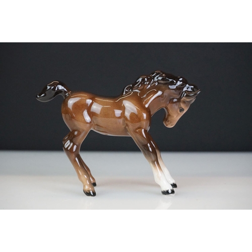 31 - Five Beswick horse figures to include a brown gloss shire horse with saddle, reins and harness (with... 