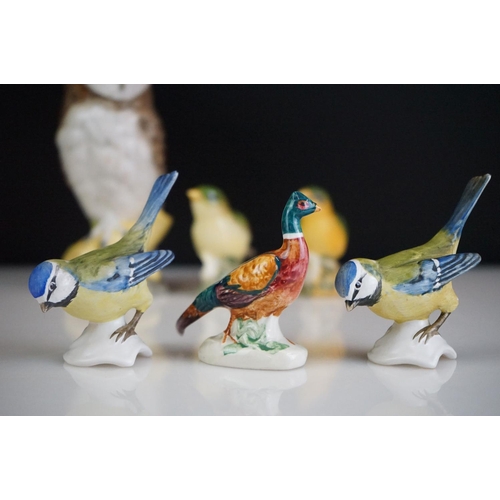 68 - Collection of 13 porcelain bird figures to include six Beswick no. 1042 Bullfinches, two Beswick Gre... 