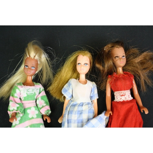 312 - Eight Palitoy Pippa dolls, clothed, including Pete (first issue), 2 x Pippa, 2 x Penny Brown, Marie ... 