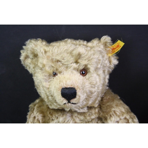 315 - Four Steiff Bears to include bagged Musical Bear, 022708 Sprinkels Teddy Bear 30 with tags, 660863 W... 