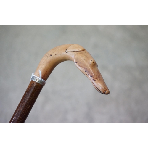 153 - Walking stick with carved handle in the form of a Greyhound head, approx 90cm long