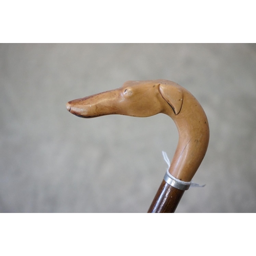 153 - Walking stick with carved handle in the form of a Greyhound head, approx 90cm long