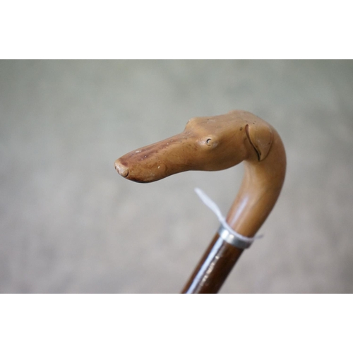 153 - Walking stick with carved handle in the form of a Greyhound head, approx 90cm long