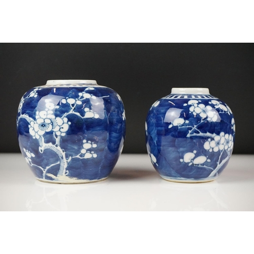 50 - Two Chinese Blue and White Ginger Jars decorated in Prunus Blossom, the largest 11.5cm high with dou... 