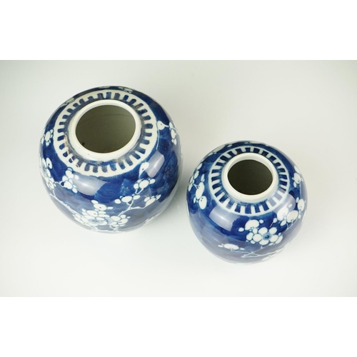 50 - Two Chinese Blue and White Ginger Jars decorated in Prunus Blossom, the largest 11.5cm high with dou... 