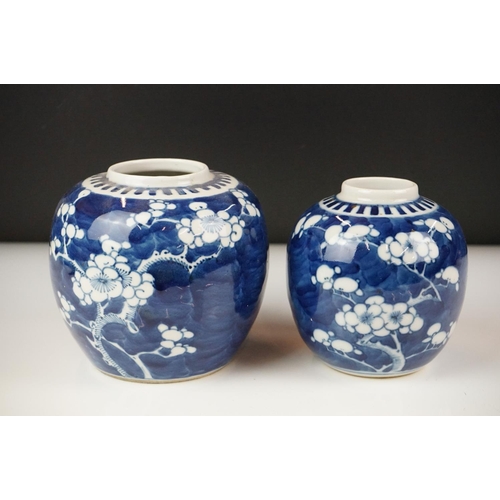 50 - Two Chinese Blue and White Ginger Jars decorated in Prunus Blossom, the largest 11.5cm high with dou... 