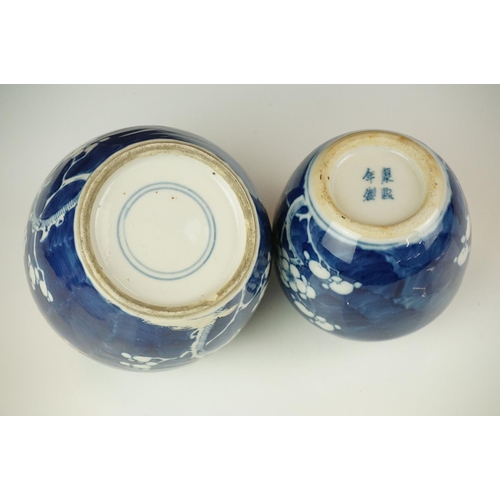 50 - Two Chinese Blue and White Ginger Jars decorated in Prunus Blossom, the largest 11.5cm high with dou... 